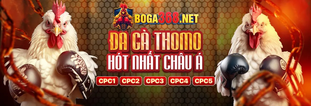 Lợi ích đăng ký big79
