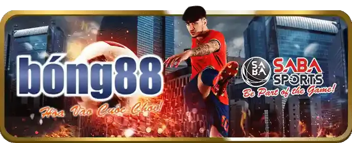 Đá gà tre tại big79